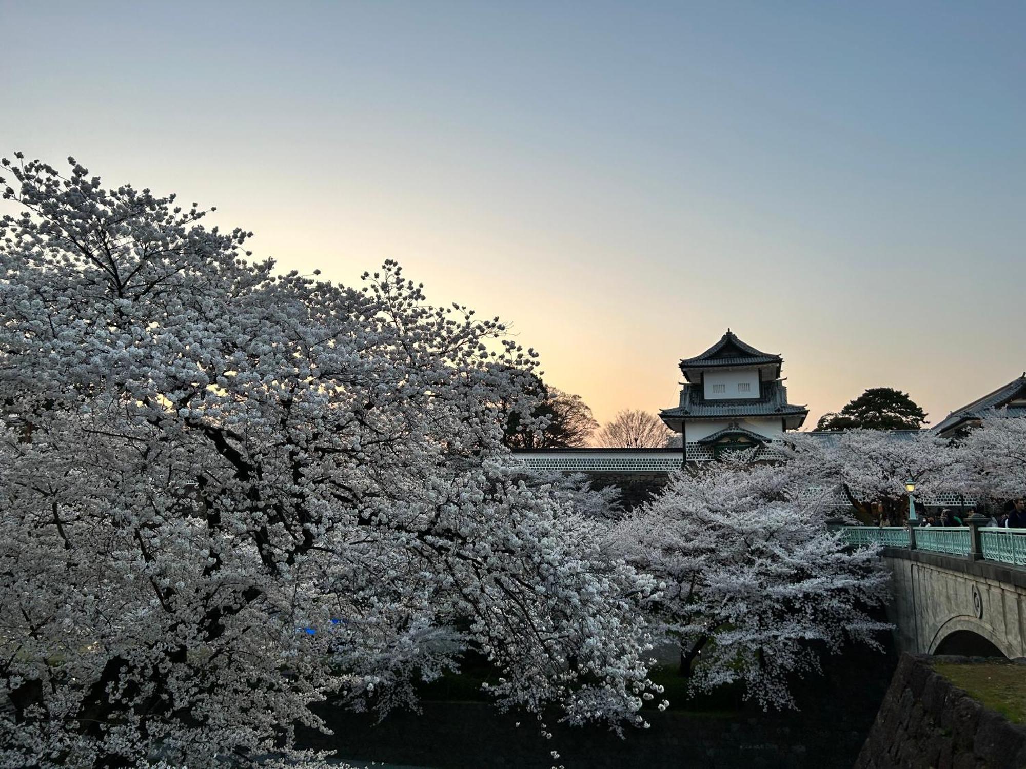 Koshomachi Stay Kanazawa Exterior foto